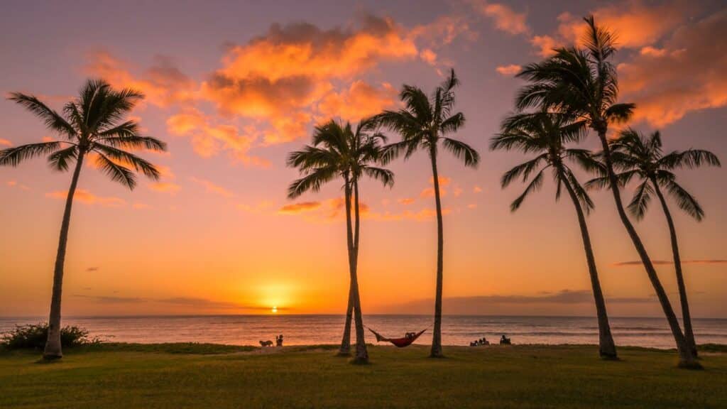 Honolulu Hawaii happies city