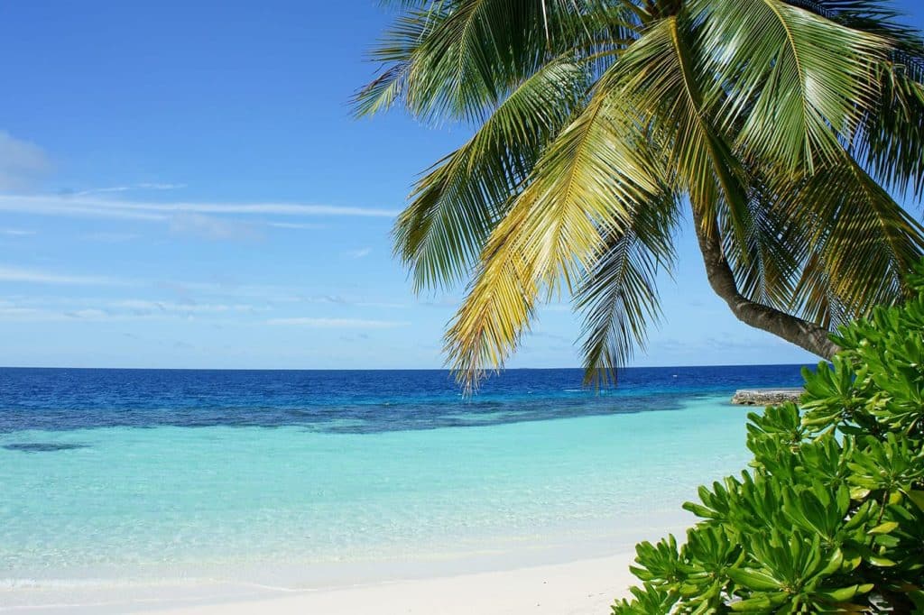 Maldives ocean